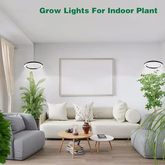 Iluminación LED de espectro completo para el cultivo de plantas de interior. Promueve un desarrollo fuerte y saludable.