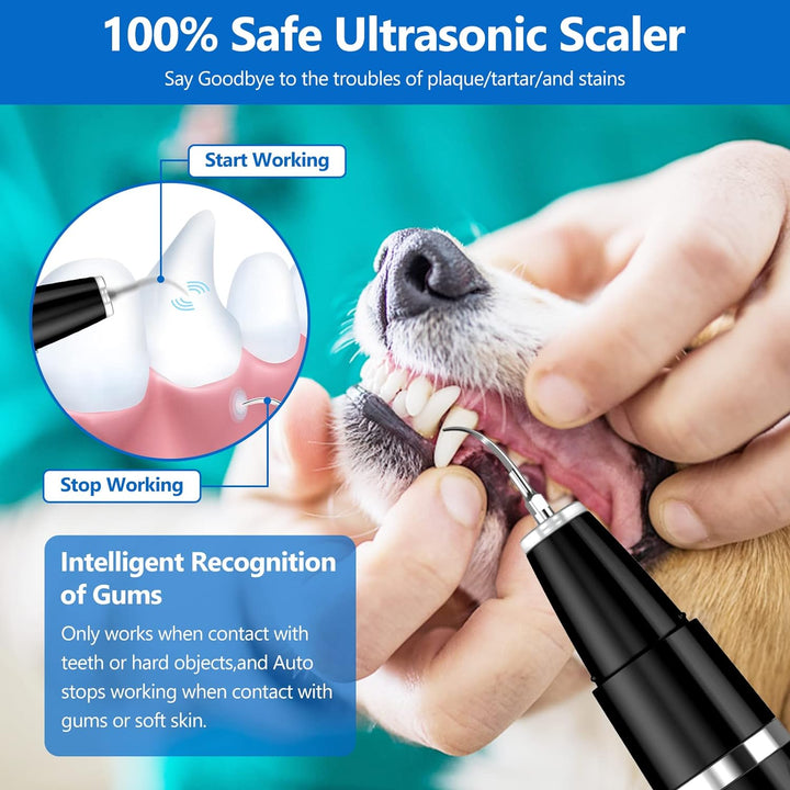 Perro recibiendo limpieza dental ultrasónica profesional. Elimina sarro, cuida la salud oral y previene enfermedades.