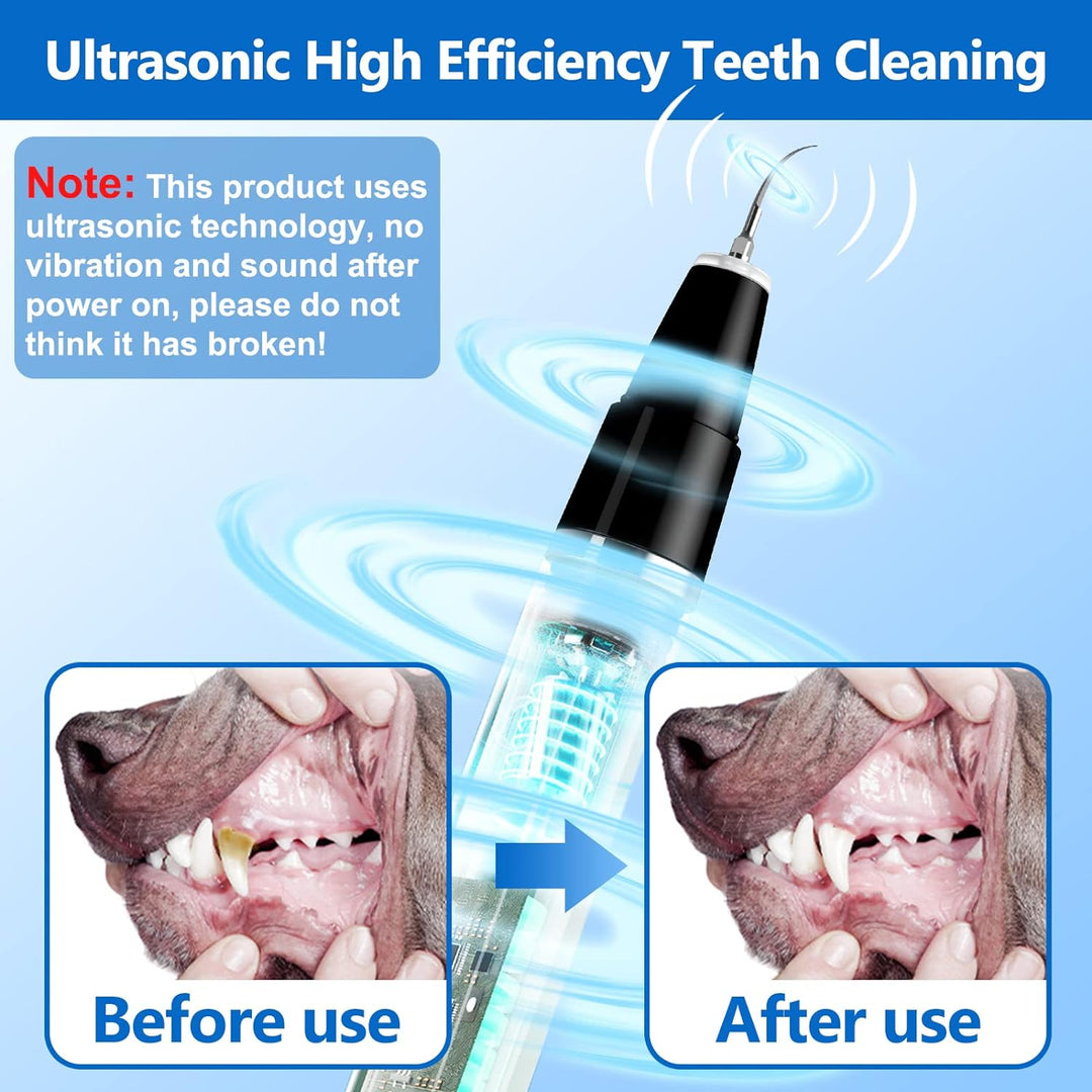 Gato tranquilo durante su limpieza dental con kit ultrasónico profesional. Higiene oral para mascotas sanas y sin sarro.