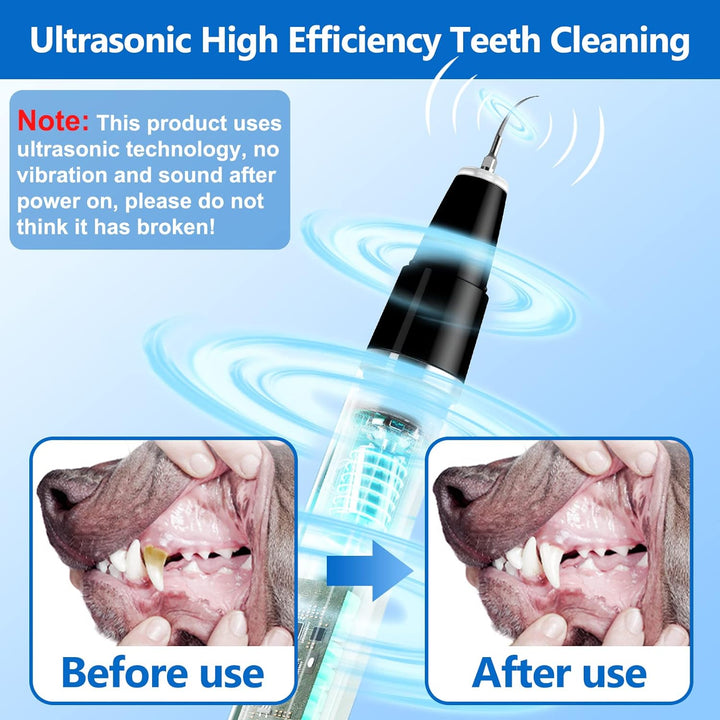 Gato tranquilo durante su limpieza dental con kit ultrasónico profesional. Higiene oral para mascotas sanas y sin sarro.
