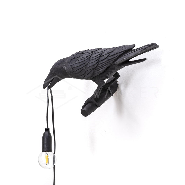 Aplique de pared de ave para interior, diseño único en resina, luz decorativa.