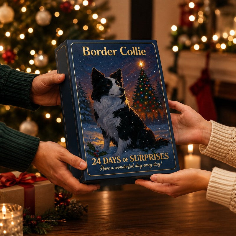 Caja de Adviento temática de Border Collie para perros. Regalo original de Navidad para amantes de mascotas.