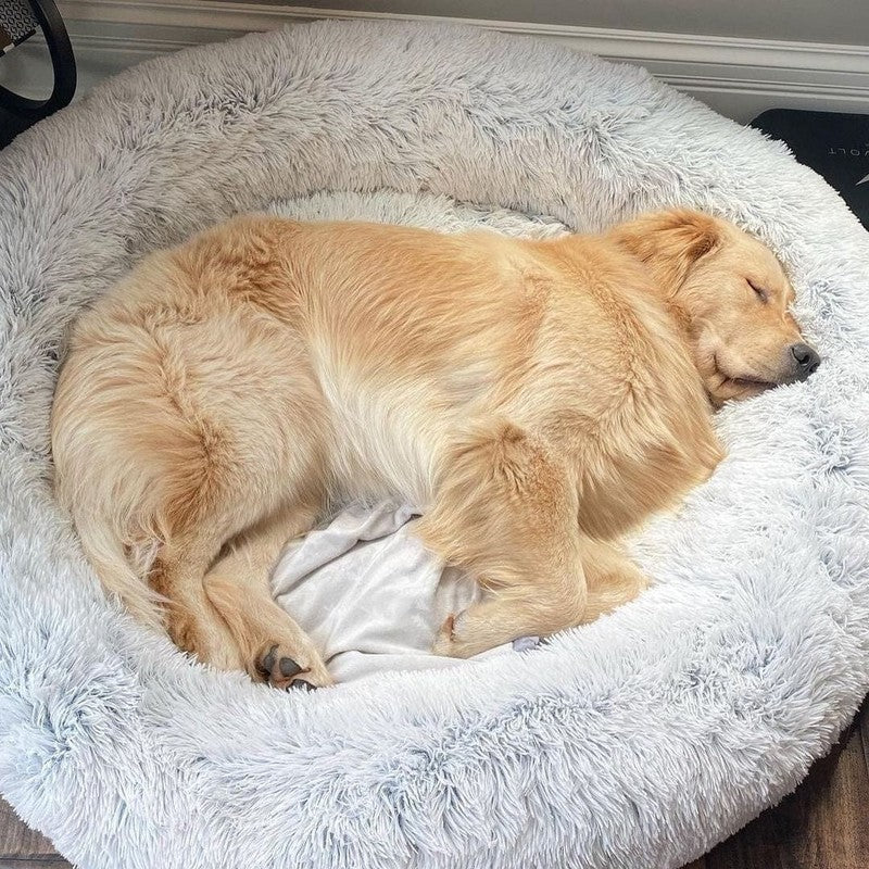 Cama redonda acolchada suave para perros y gatos. Confort superior para mascotas pequeñas.