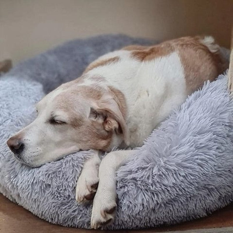 Cama de lujo para perros y gatos, redonda y acolchada con material suave. Descanso premium.