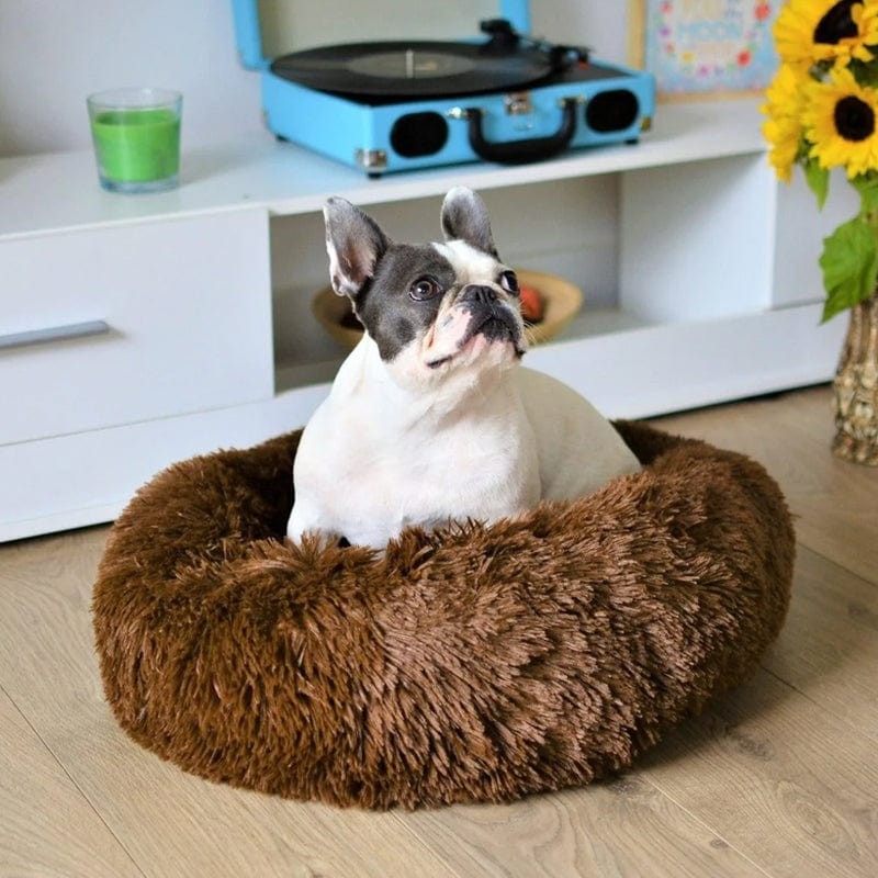 Cama de confort para mascotas, diseño redondo y acolchado. Perfecta para el interior del hogar.