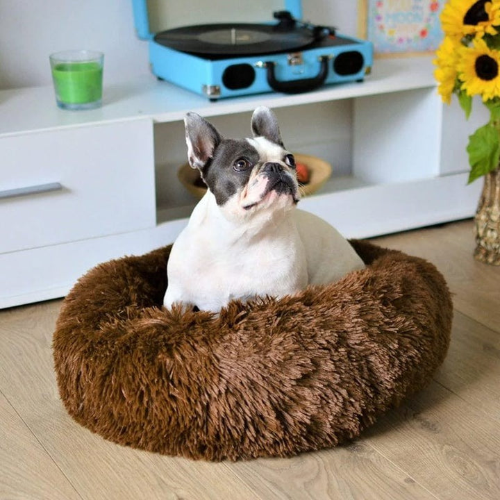 Cama de confort para mascotas, diseño redondo y acolchado. Perfecta para el interior del hogar.