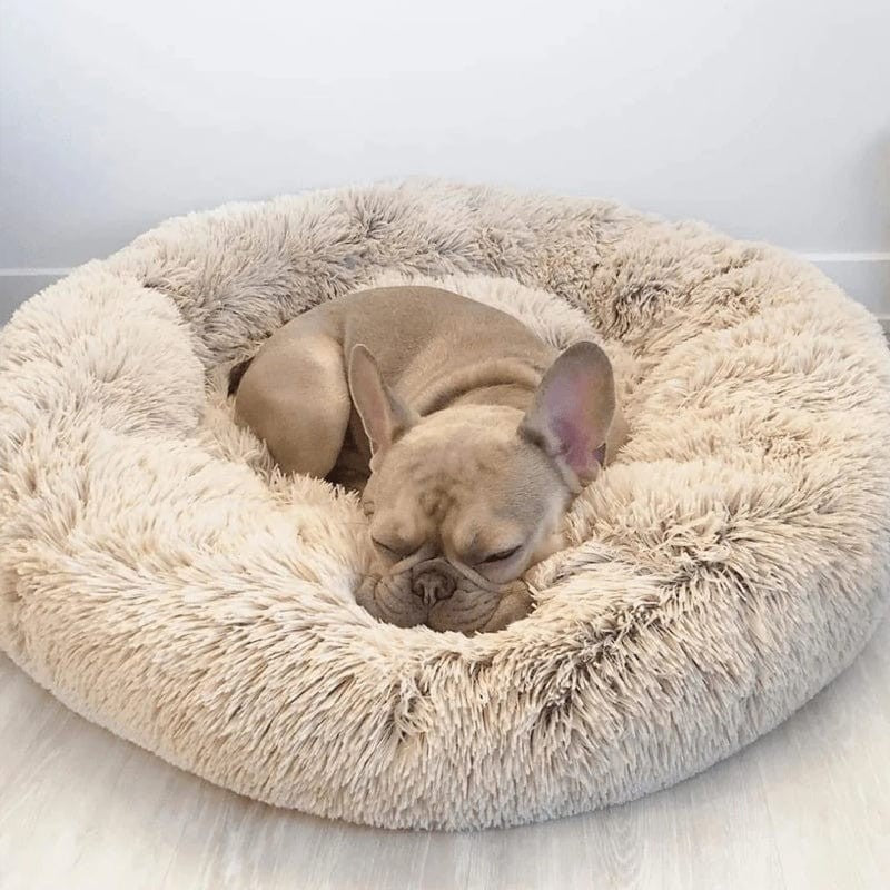 Cama suave para gatos, redonda y con acolchado grueso. Asegura un descanso profundo.