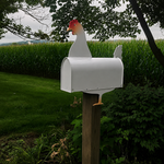 Pollo