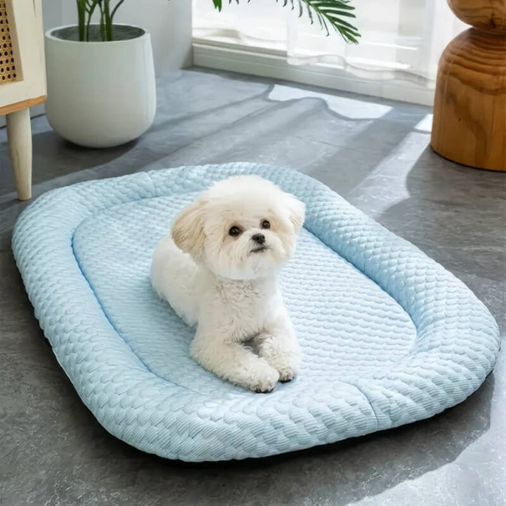 Cama refrigerante azul para perro, ofrece alivio fresco y descanso a tu mascota en verano.