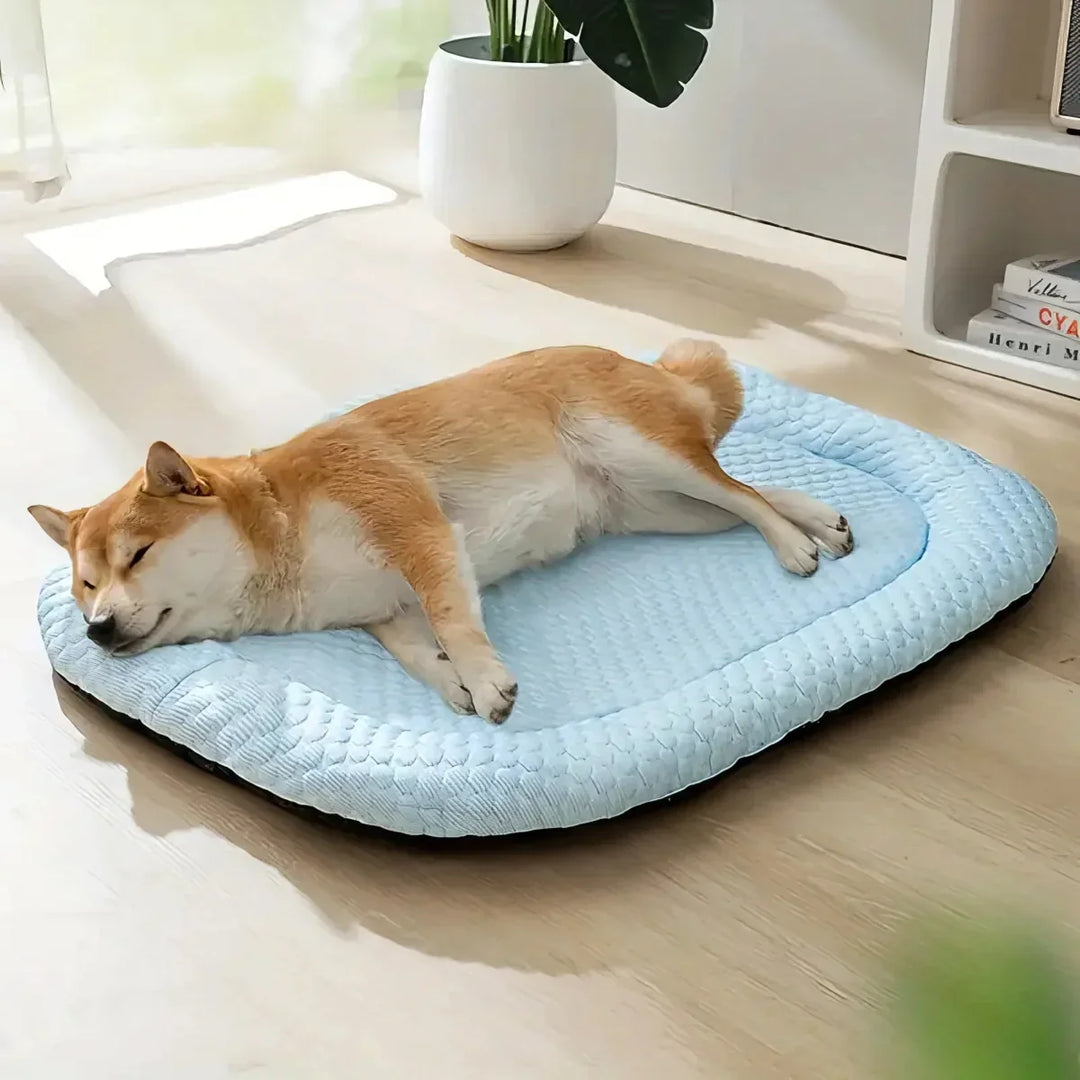Cama para perro refrigerante lavable con tecnología de enfriamiento, confort animal garantizado.