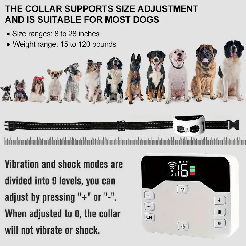 Entrenando a un perro con collar de adiestramiento inalámbrico. Valla invisible y corrección de comportamiento canino.