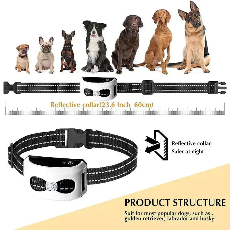 Unidad base del cerramiento inalámbrico para perros, con controles claros. Valla invisible y adiestramiento efectivo.