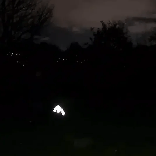 Perro pequeño usando chubasquero reflectante, protector de lluvia, para paseos seguros.