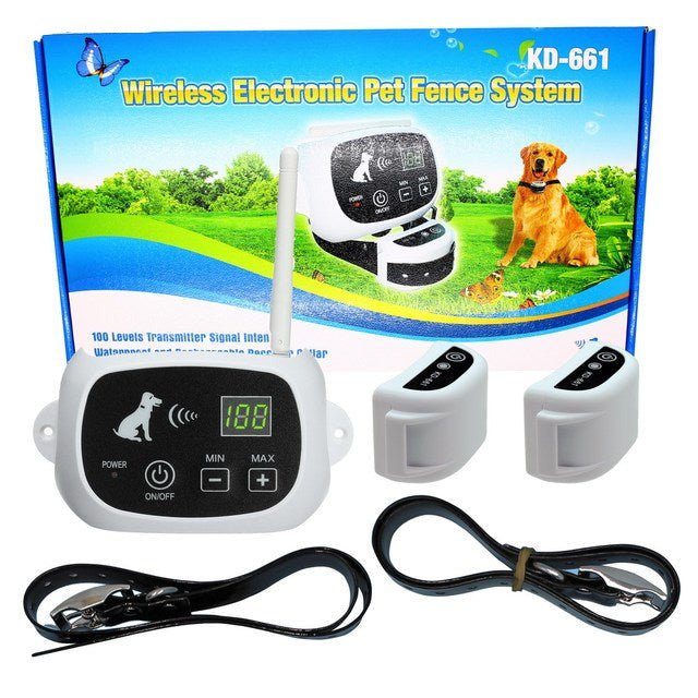 Perro feliz dentro del control perimetral inalámbrico, disfrutando de libertad y seguridad para mascotas.