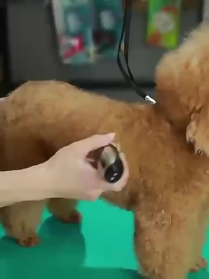 Cortapelo ultra silencioso para mascotas, ideal para reducir el estrés durante el aseo de perros y gatos.