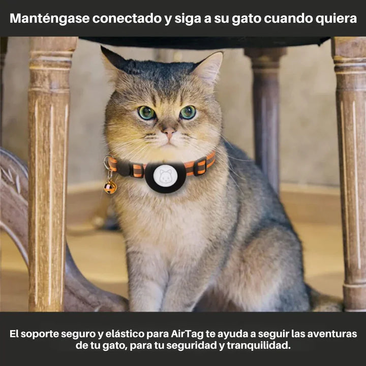 Collar GPS para gatos que permite detección rápida, reflectante y seguro.