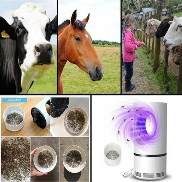 Lámpara antimosquitos eléctrica interior, ambiente de verano libre de picaduras.