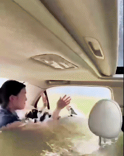 Martillo de emergencia para coche: rompeventanas y cortacinturones. Escape rápido garantizado en situaciones críticas.