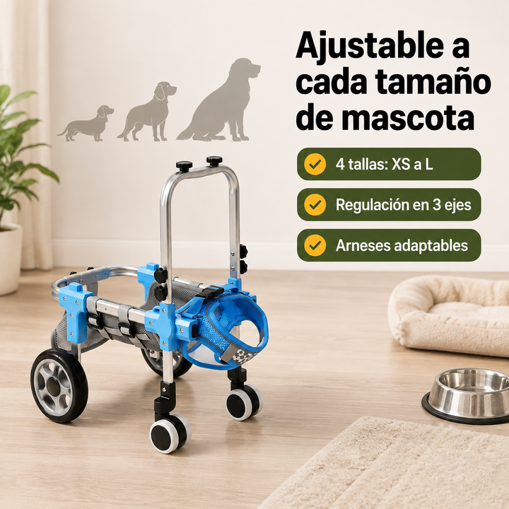 Perro feliz usando silla de ruedas de aluminio ligero para rehabilitación de patas traseras y ayuda para caminar.