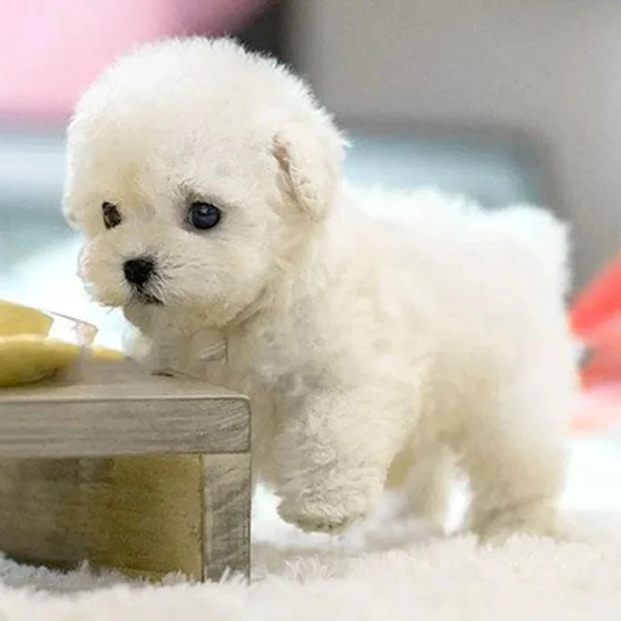 Mascota robótica interactiva, perrito electrónico que enseña a niños, juguete educativo con movimiento y sonido.