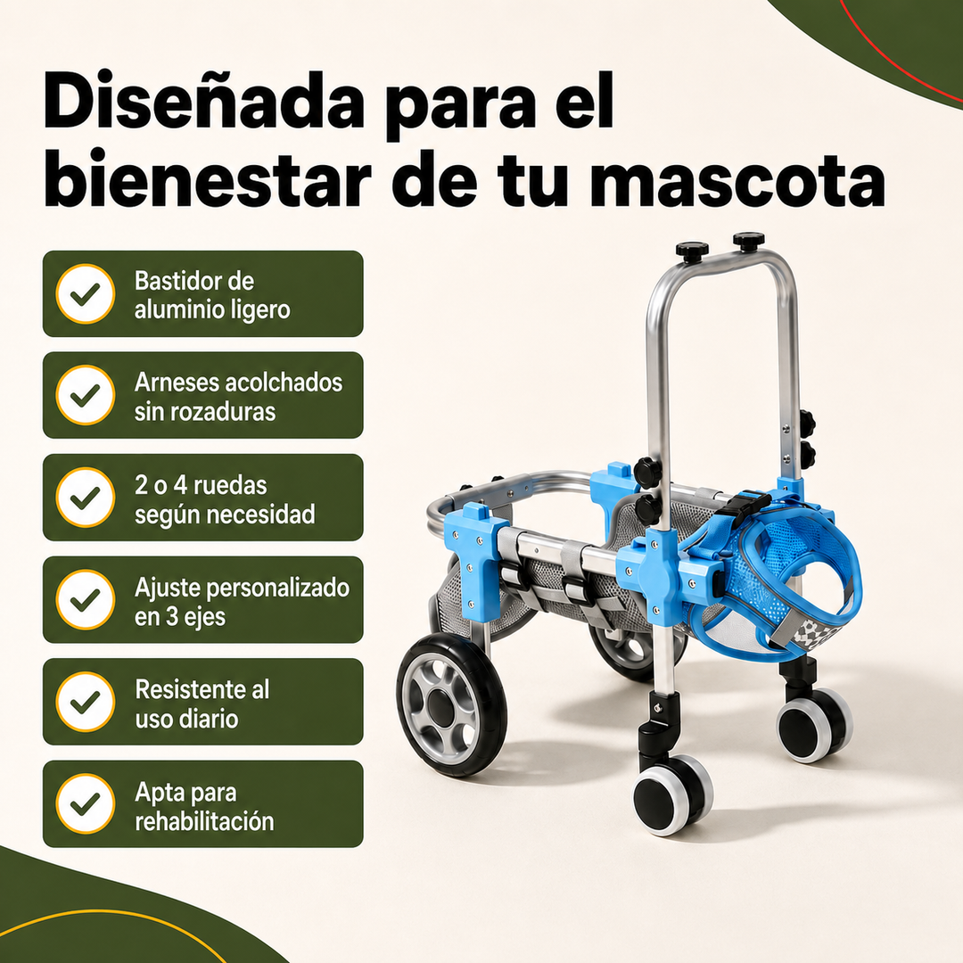 Gato con parálisis trasera recupera movilidad con silla de ruedas veterinaria ajustable para soporte y autonomía.
