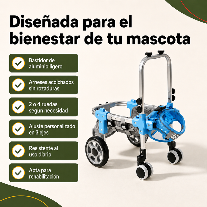 Gato con parálisis trasera recupera movilidad con silla de ruedas veterinaria ajustable para soporte y autonomía.
