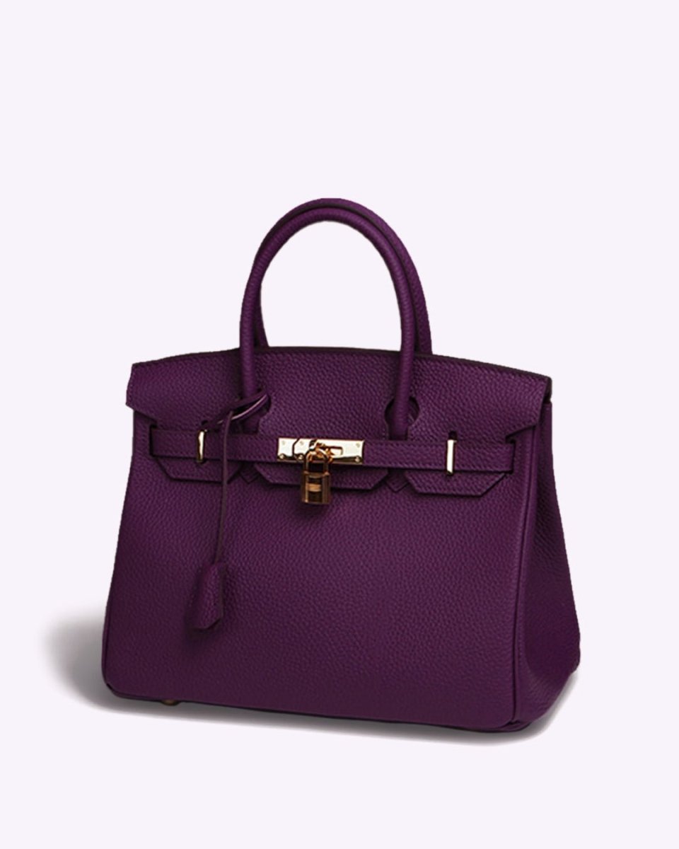 Bolso de mano de piel premium para mujer en tonos variados, con organizador. Accesorio chic.