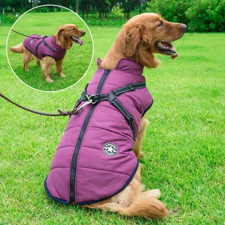 Accesorio para perro: chaqueta cortaviento e impermeable con arnés para paseos con lluvia o viento.