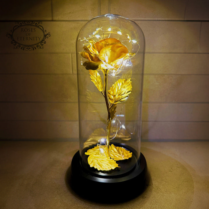 Regalo especial: rosa eterna dorada con luz LED en campana de vidrio, ideal para momentos memorables.