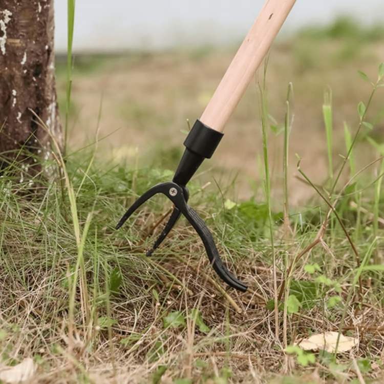 Extractor de raíces y removedor de malezas de acero, para mantener un jardín impecable y libre de malezas fácilmente.