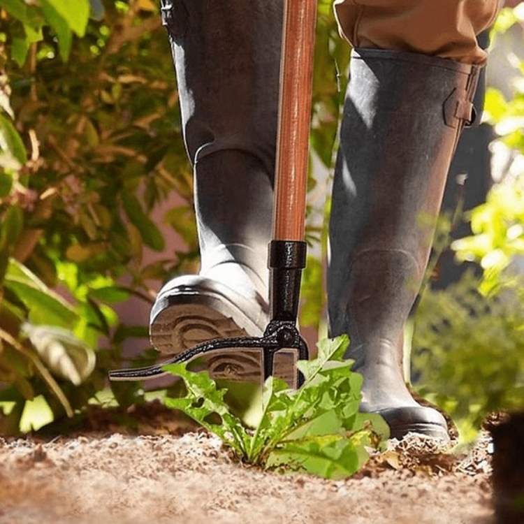 Jardinero usando removedor de malezas de acero para extraer raíces, facilitando la jardinería en el hogar.