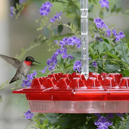 Alimentador de colibrí con barrera anti-hormigas y protección para néctar, duradero para exteriores.