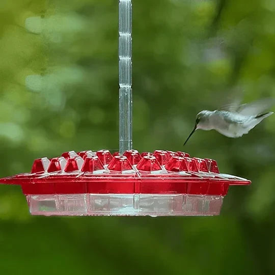Alimentador duradero de policarbonato resistente a UV para colibríes en jardín, con protección anti-hormigas.