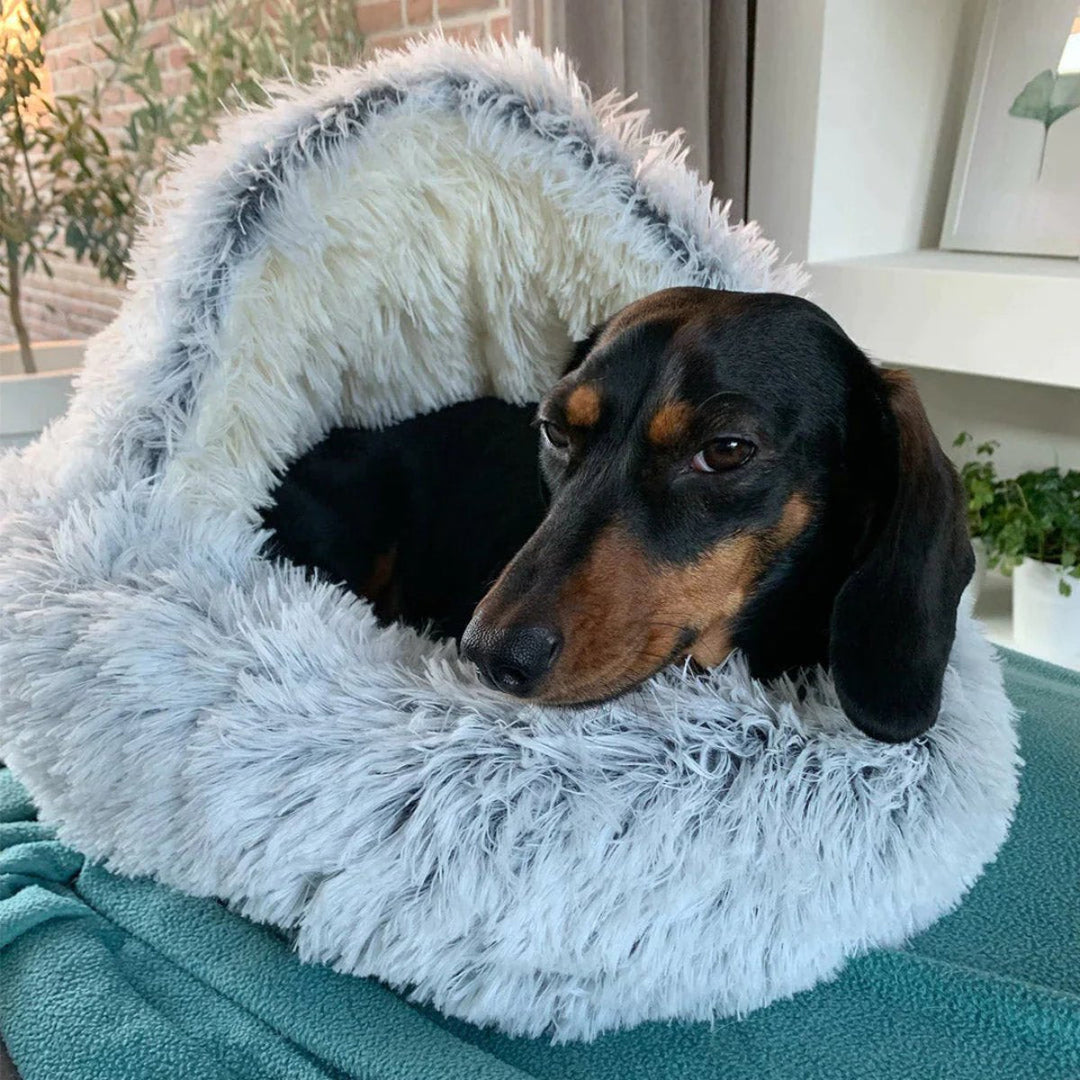 Cama cueva para mascotas. Diseño nido ultrasuave para relajación profunda y sueño reparador.