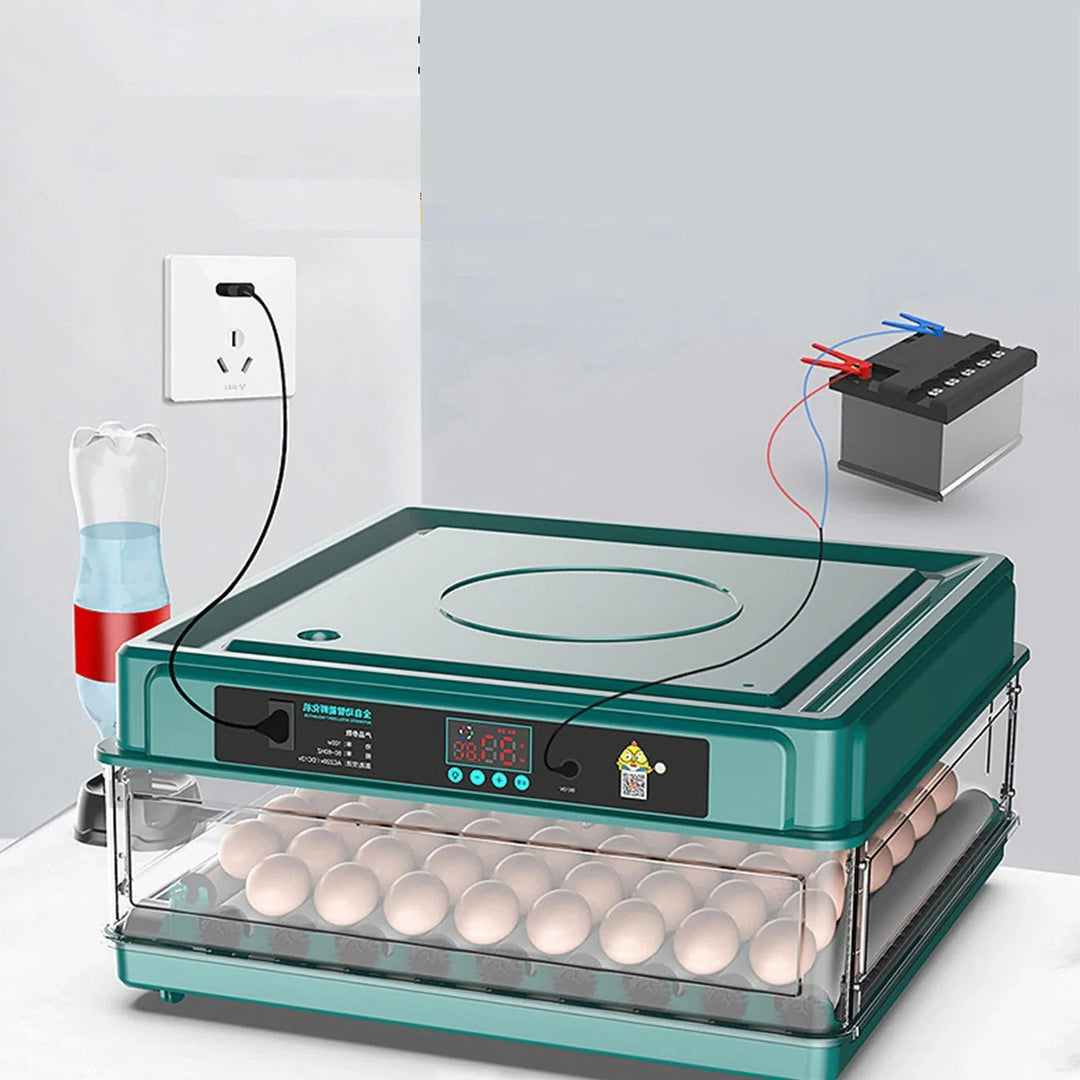 Incubadora digital para avicultura, apta para gallinas, codornices. Perfecta para granja o educativo.
