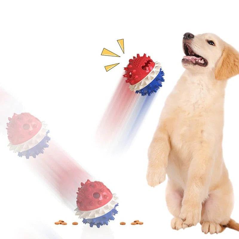 Juguete masticable para perros y gatos. Rodante y auto-movible para diversión constante.