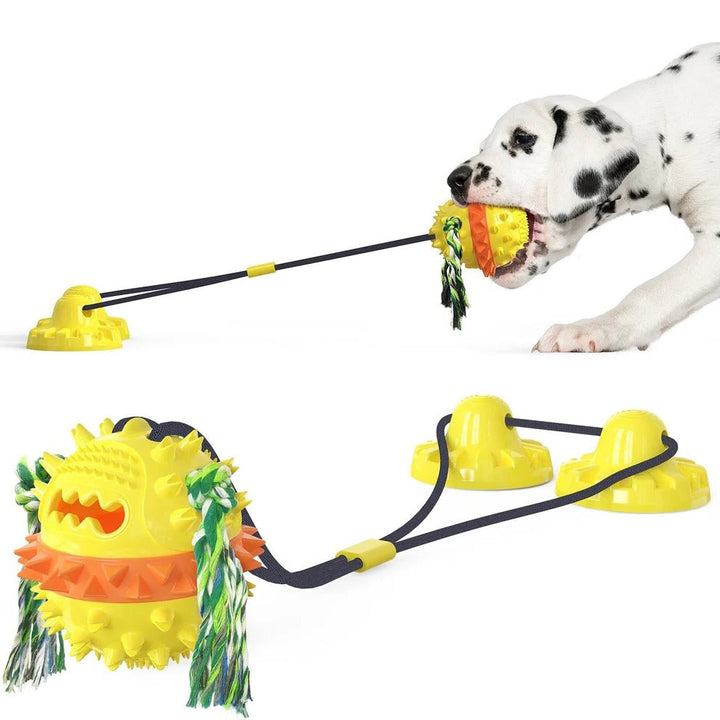 Mascota jugando feliz con juguete rodante masticable que se mueve solo. Entretenimiento garantizado.