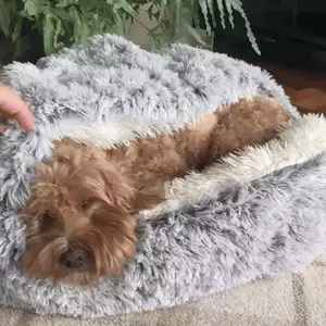 Cama nido ortopédica para perros. Alivio de articulaciones y relax profundo en un refugio seguro.