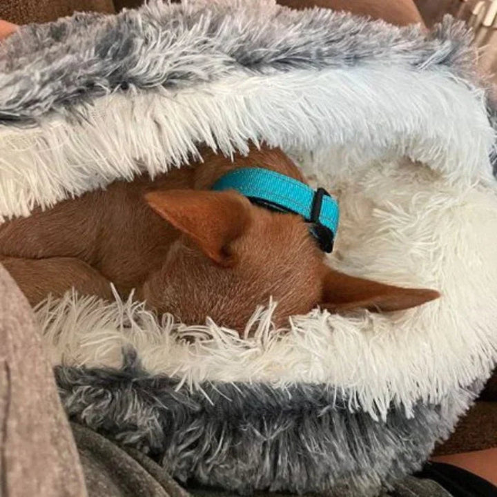 Cama relajante para perros con ansiedad. Diseño envolvente tipo cueva que proporciona seguridad y calma.