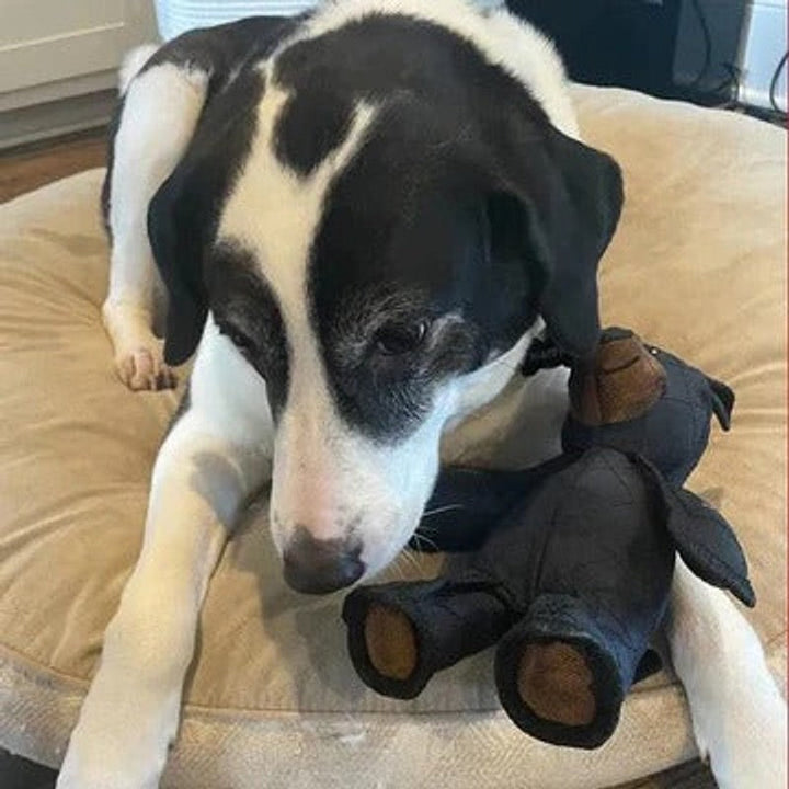 Regalo interactivo para perros: juguete de oso de peluche acolchado con silbato, seguro y divertido para mascotas.