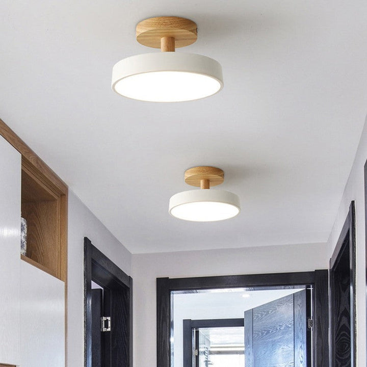 Diseño de iluminación: lámpara de techo moderna para cualquier habitación.