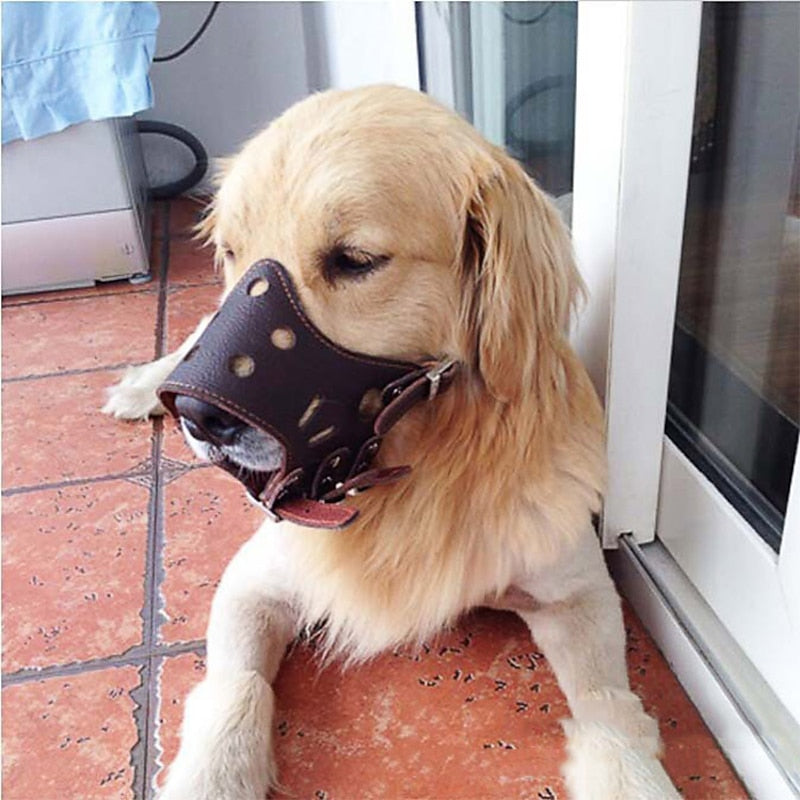 Bozal de cuero auténtico negro para perro, accesorio seguro y cómodo para paseo.