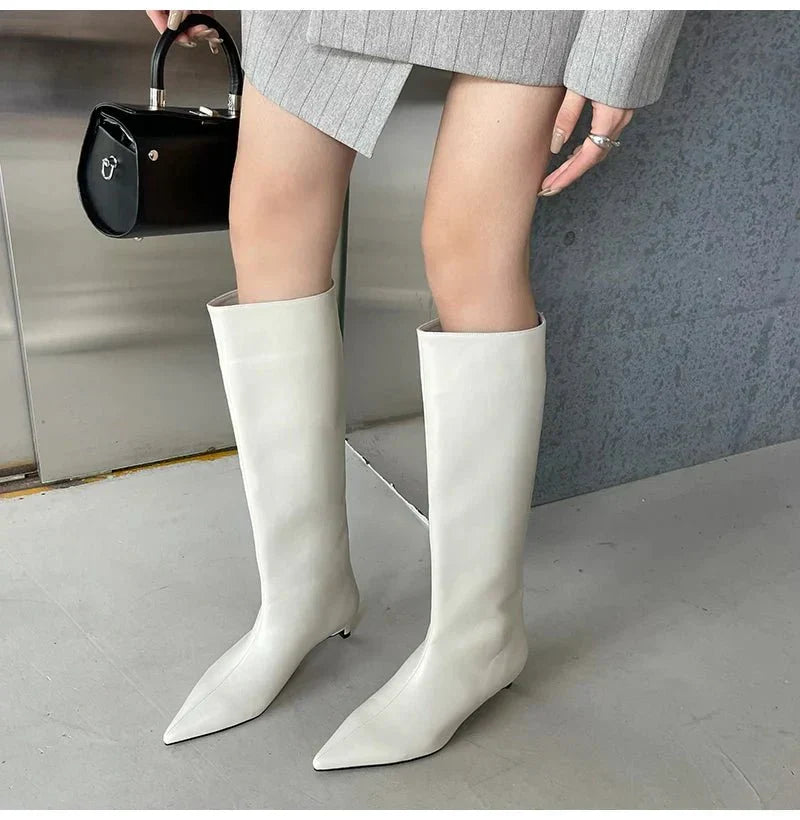 Botas altas elegantes de mujer con punta fina, ideales para fiesta o look sofisticado de oficina en invierno.
