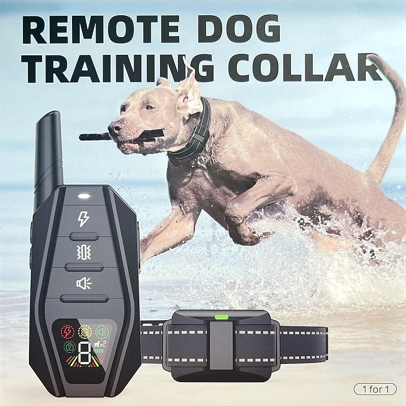 Primer plano de collar de adiestramiento impermeable IPX7 para perros. Equipo para entrenamiento y obediencia.