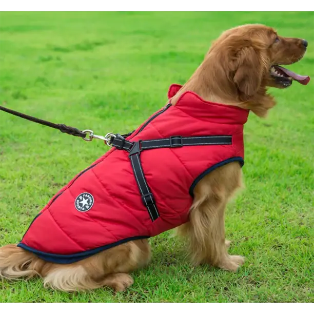 Chaqueta para perro abrigada, impermeable y con arnés, ideal para aventuras invernales.