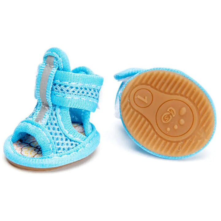Perro jugando con zapatos de verano transpirables, comodidad y protección para sus patas activas.