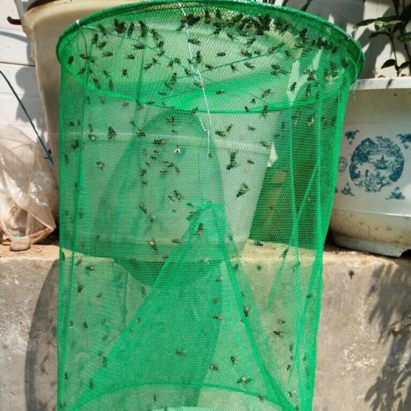 Trampa sin químicos para moscas y mosquitos, garantiza un ambiente libre de insectos en tu hogar y jardín.