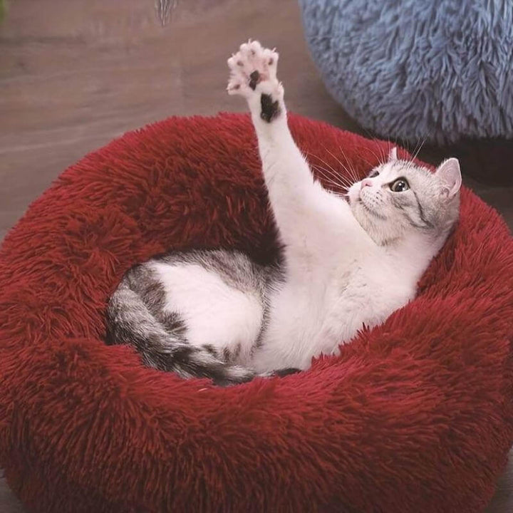 Refugio acogedor para gatos, cama mascota suave y mullida. Cojín antiestrés que mejora el confort en el hogar.