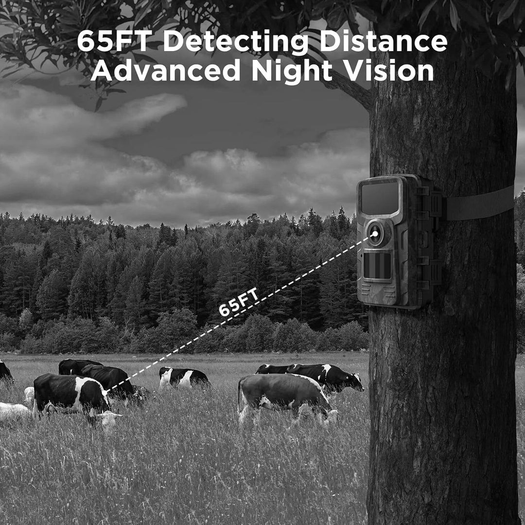 Trailcam impermeable con detección de movimiento para seguridad en jardín y naturaleza.