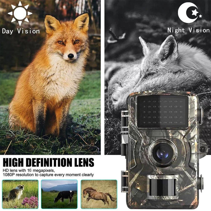 Cámara de vigilancia HD para fauna, aves y seguridad exterior con visión nocturna.